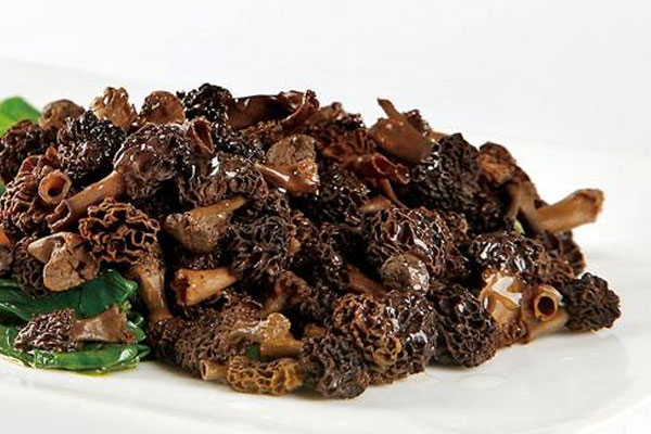 紅燒羊肚菌的功效作用與營養(yǎng)價(jià)值 紅燒羊肚菌的功效作用與營養(yǎng)價(jià)值