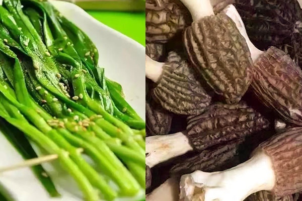 韭菜炒羊肚菌的做法，有哪些食用禁忌