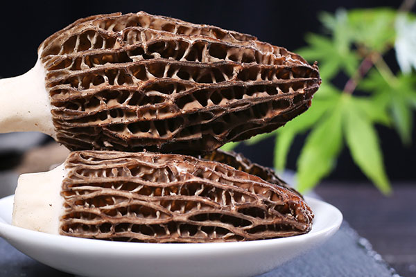 韭菜炒羊肚菌的營養(yǎng)價值與功效作用 韭菜炒羊肚菌的營養(yǎng)價值與功效作用