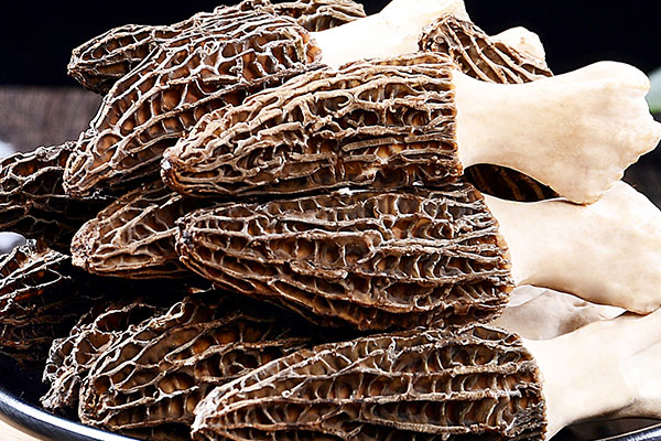 羊肚菌肉餅的做法竅門(mén) 羊肚菌肉餅的做法竅門(mén)