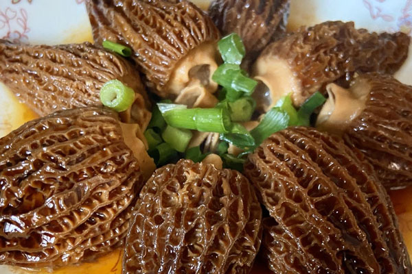 羊肚菌塞肉碎的做法以及竅門