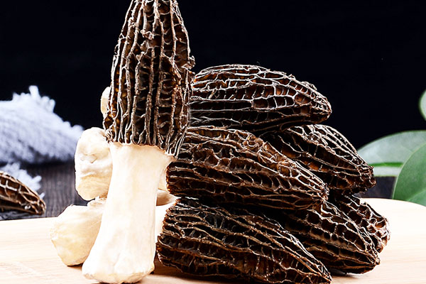 羊肚菌蒸粉絲的竅門 羊肚菌蒸粉絲的竅門