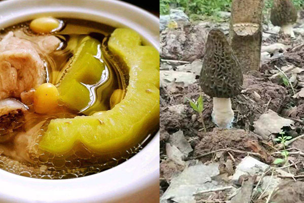 羊肚菌苦瓜排骨湯的做法，有哪些食用禁忌