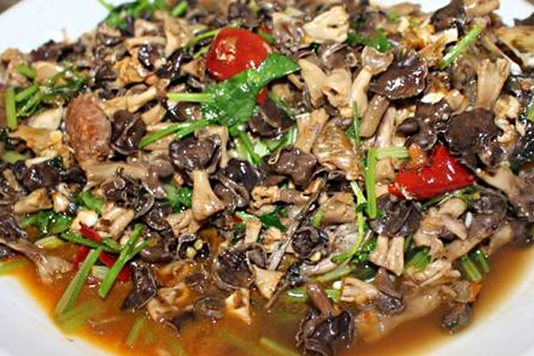 羊肚菌炒木耳不焯水能直接炒嗎 羊肚菌炒木耳不焯水能直接炒嗎