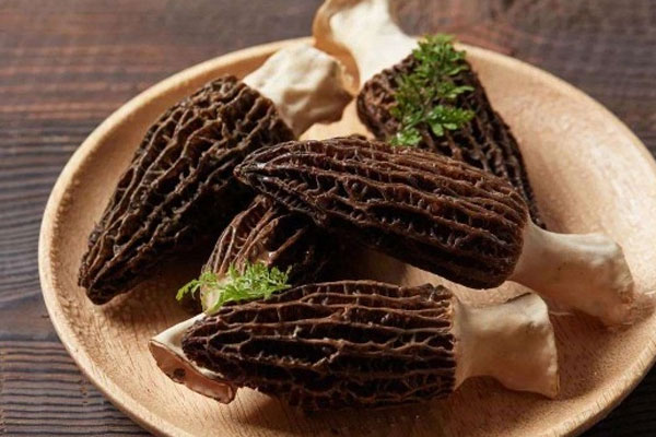 吃羊肚菌有什么禁忌，羊肚菌包子蒸多長時(shí)間熟