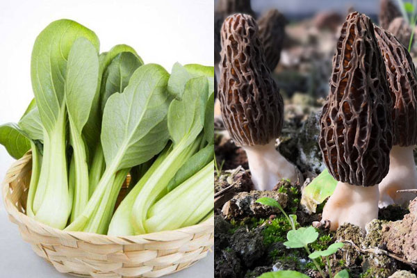 羊肚菌炒小白菜怎么做好吃，有哪些功效作用