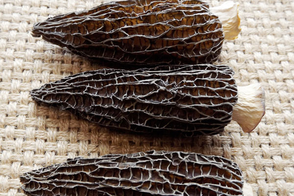 羊肚菌炒小白菜的食用禁忌 羊肚菌炒小白菜的食用禁忌