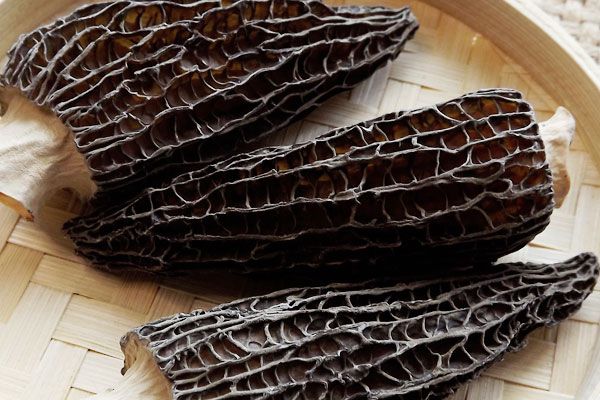 爆炒羊肚菌的做法竅門 爆炒羊肚菌的做法竅門