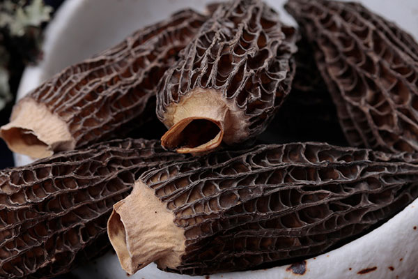 蠔油燜羊肚菌需要焯水嗎 蠔油燜羊肚菌需要焯水嗎