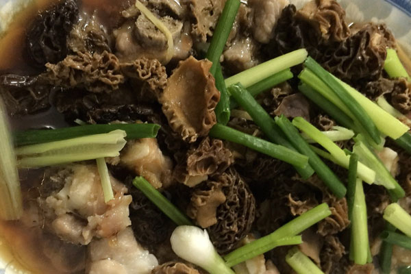 新鮮羊肚菌燜排骨的做法竅門 新鮮羊肚菌燜排骨的做法竅門