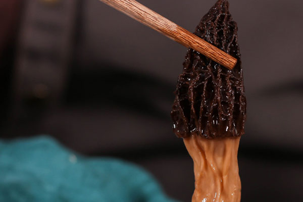 牛肉燜羊肚菌的食用禁忌 牛肉燜羊肚菌的食用禁忌