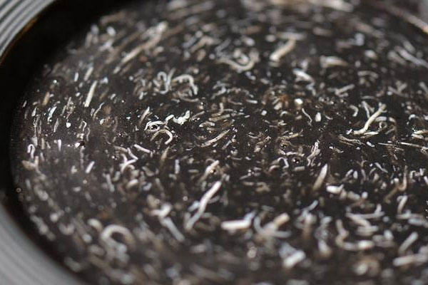 黑松露文思豆腐羹的做法以及竅門