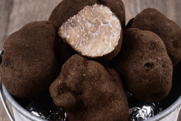 黑松露香煎元貝的功效作用與營養(yǎng)價值 黑松露香煎元貝的功效作用與營養(yǎng)價值