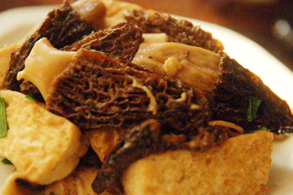 羊肚菌紅燒老豆腐可以用嫩豆腐嗎 羊肚菌紅燒老豆腐可以用嫩豆腐嗎