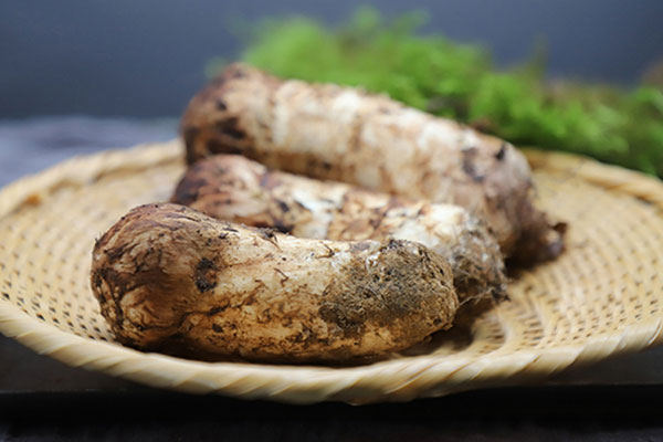 松茸鯽魚(yú)辣湯怎么燉才白 松茸鯽魚(yú)辣湯怎么燉才白