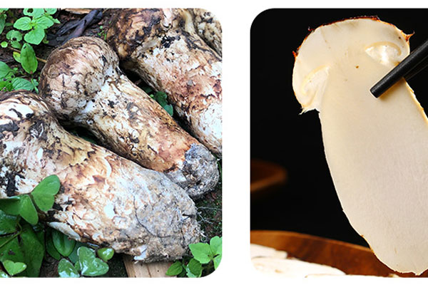 松茸胡蘿卜炒肉放醋好嗎 松茸胡蘿卜炒肉放醋好嗎