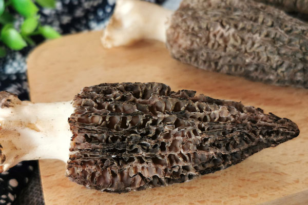 有手術(shù)刀口能吃羊肚菌嗎，羊肚菌煲湯放什么藥材