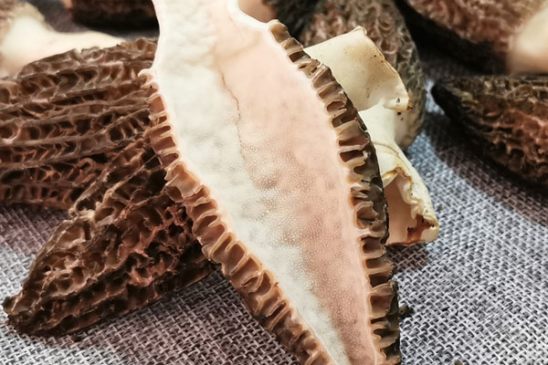 新鮮羊肚菌怎么保存才久 新鮮羊肚菌怎么保存才久