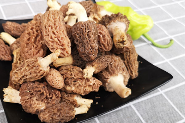 患有子宮肌瘤能不能吃羊肚菌，應(yīng)該怎么搭配呢