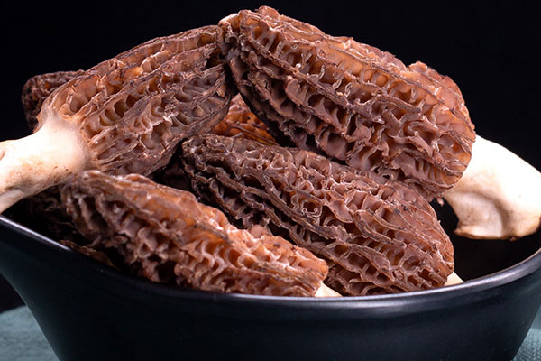 肺手術(shù)后可以吃羊肚菌嗎，小孩吃羊肚菌會(huì)早熟嗎