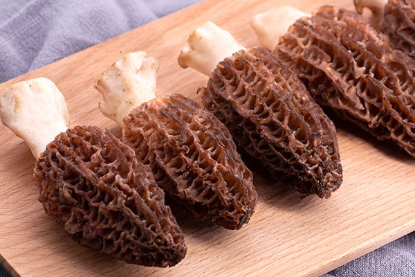 小孩子吃羊肚菌會(huì)導(dǎo)致早熟嗎 小孩子吃羊肚菌會(huì)導(dǎo)致早熟嗎