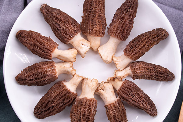 闌尾炎術(shù)后可以吃羊肚菌嗎，有哪些食譜