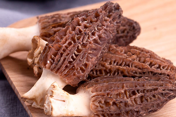 食道癌術(shù)后可以吃羊肚菌嗎，飲食上需要注意哪些