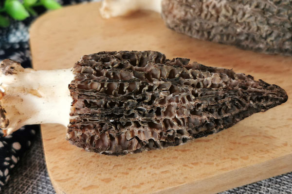 胃癌手術(shù)后可以吃羊肚菌嗎，應(yīng)該怎么吃最好