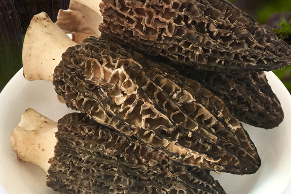 胃癌手術(shù)后需要注意哪些方面 胃癌手術(shù)后需要注意哪些方面