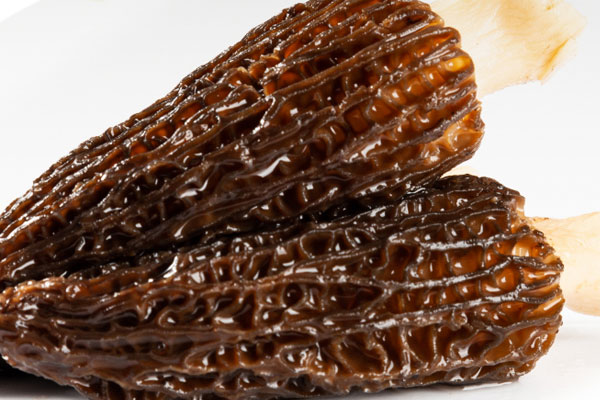 順產(chǎn)后可以吃羊肚菌嗎，應(yīng)該怎么吃呢