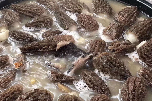 人流后怎么吃羊肚菌 人流后怎么吃羊肚菌