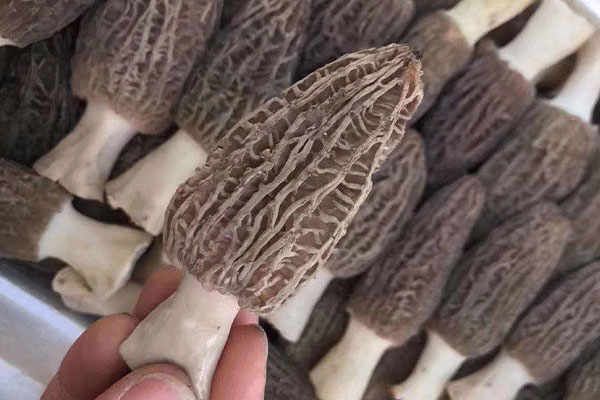 人流術后的注意事項 人流術后的注意事項