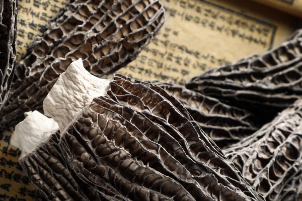 羊肚菌豬腳湯怎么燉才香不油膩 羊肚菌豬腳湯怎么燉才香不油膩