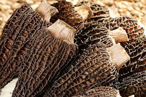 羊肚菌山藥燜蘆筍的功效作用與營養(yǎng)價值 羊肚菌山藥燜蘆筍的功效作用與營養(yǎng)價值