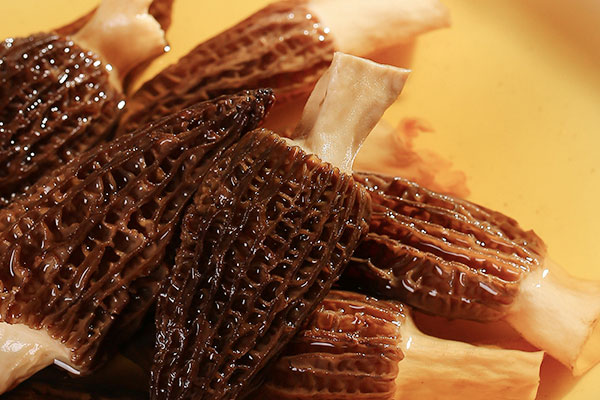 羊肚菌煲湯正常放幾顆 羊肚菌煲湯正常放幾顆