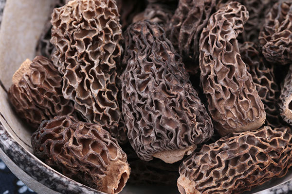 干貨羊肚菌怎么看好壞，野生羊肚菌怎么分辨