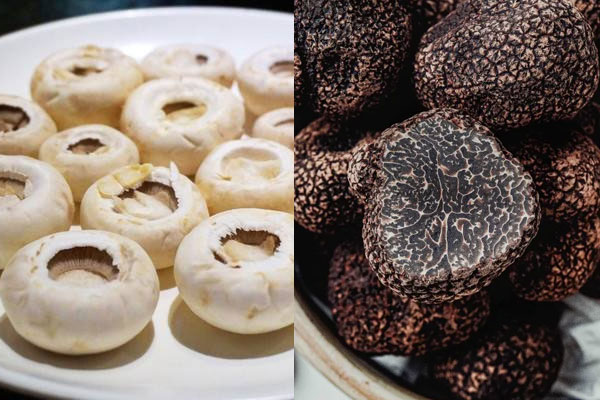 黑松露焗口蘑的做法，有哪些功效作用