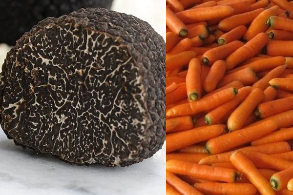 胡蘿卜松露雞湯怎么燉好喝又營養(yǎng)，有哪些禁忌