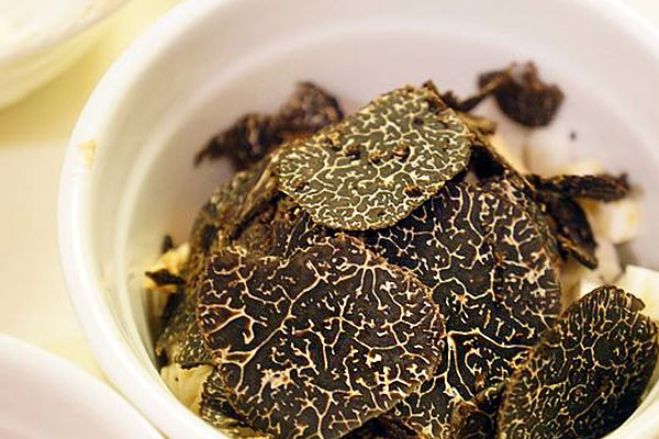 松露燉雞小孩可以吃嗎 松露燉雞小孩可以吃嗎