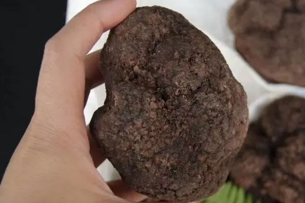 中國松露產(chǎn)量第一嗎 中國松露產(chǎn)量第一嗎