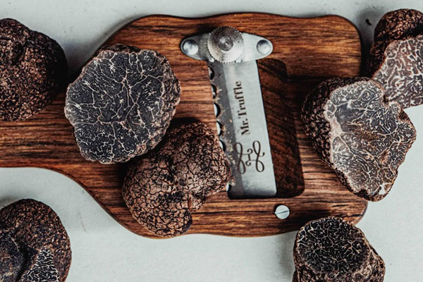 松露燉雞還可以加什么，松露冰凍可以保存多久