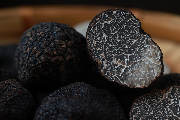 發(fā)育期可以吃松露嗎，六歲寶寶可以吃黑松露嗎