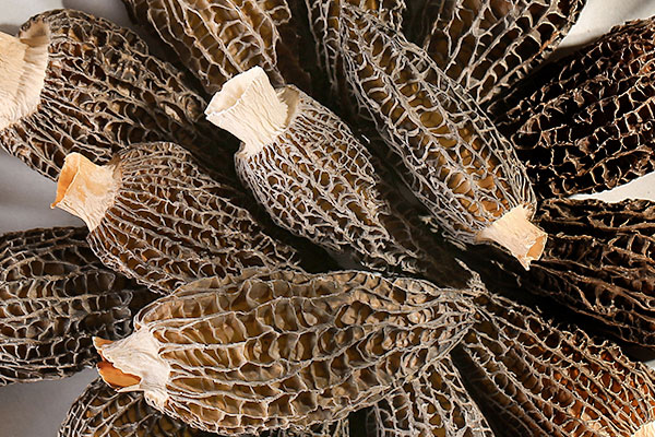 干羊肚菌有白色的菌絲，涼拌羊肚菌煮多久