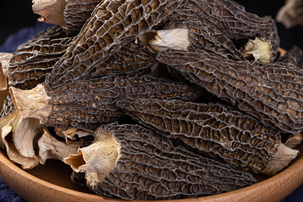 韭菜炒羊肚菌隔夜還可以吃嗎 韭菜炒羊肚菌隔夜還可以吃嗎