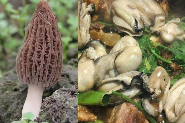 羊肚菌生蠔煲雞的做法，有哪些功效作用