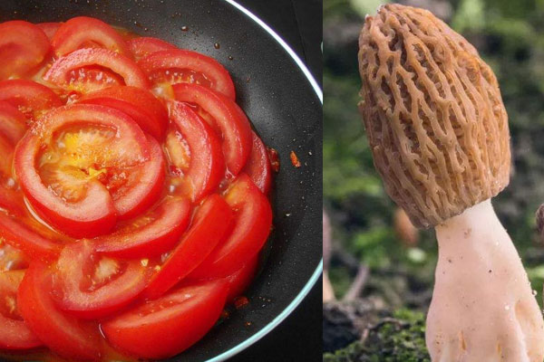 羊肚菌炒飯的做法，用干羊肚菌還是鮮品羊肚菌好