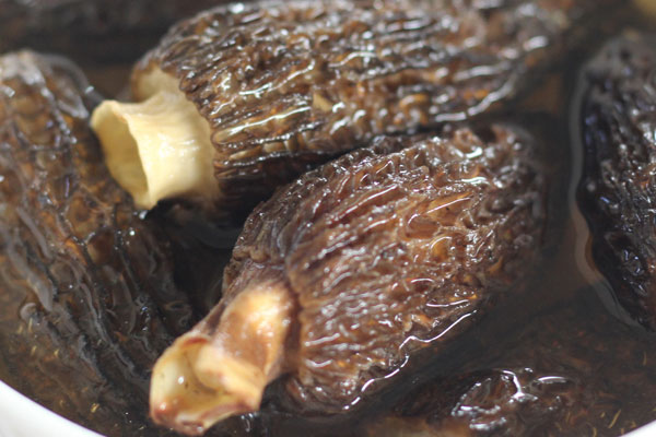 羊肚菌炒飯用干羊肚菌好還是新鮮羊肚菌 羊肚菌炒飯用干羊肚菌好還是新鮮羊肚菌