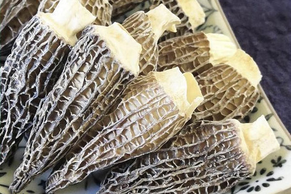 干貝羊肚菌雞湯的竅門 干貝羊肚菌雞湯的竅門