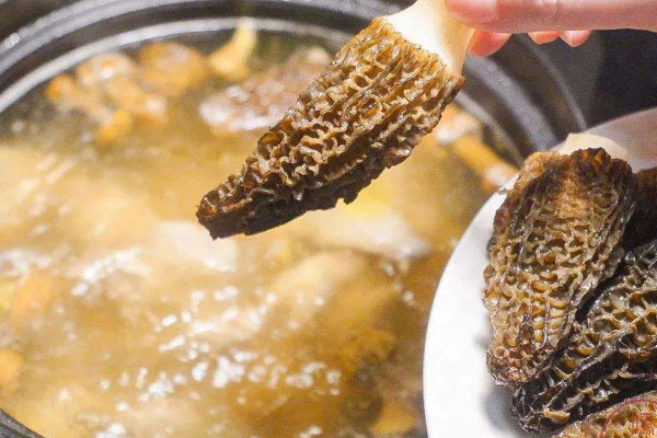 羊肚菌瑤柱雞湯可以放哪些藥材 羊肚菌瑤柱雞湯可以放哪些藥材