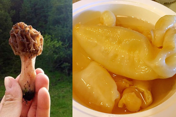 羊肚菌瑤柱花膠煲湯的做法，有哪些好處